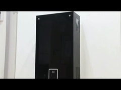 10L 2.6GPM 워터 히터 블랙 코팅 패널 LPG NG 가스 유형