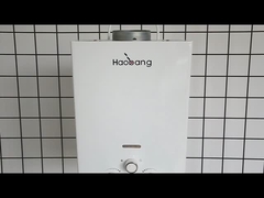 10L 2.6GPM 워터 히터 블랙 코팅 패널 LPG NG 가스 유형