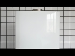 20kW 가스 보일러 10L LPG NG 인스턴트 탱크 없는 가스 워터 히터