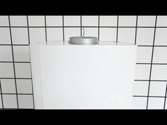 6L ~ 20L 가스 워터 히터 탱크 없는 즉시 난방 연소 배기가스 타입 가스 기저