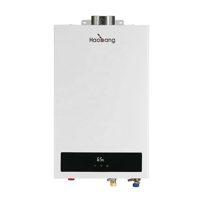 Wall Mounted IPX2 Waterproof Flue Gas Water Heater with ±1℃ Temperature Deviation and Coating Panel
