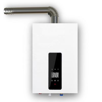 12 Liter Household Gas Water Heater with 0.02MPa-0.8MPa Water Pressure and IPX2 Waterproof Flue Gas Water Heater