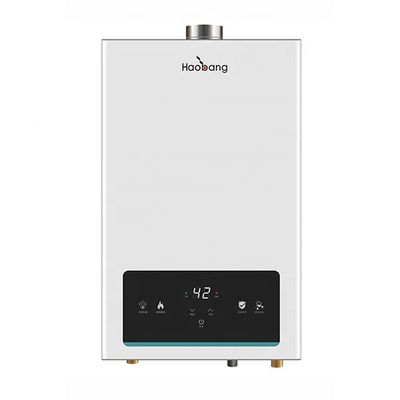 12L Tankless Gas Water Heater with Touch Panel Control for Garage and Household Coating Panel Design