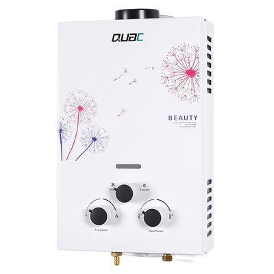 6L 12KW NG 가스 워터 히터 가설 여름 & 겨울 스위치 흰색