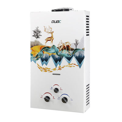 도매 펌프 배기가스 10L 20KW 인스턴트 가스 워터 히터