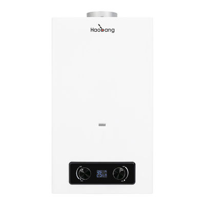 듀얼 버튼 타입 10L 2.64GPM 가스 워터 히터 인스턴트 LPG NG